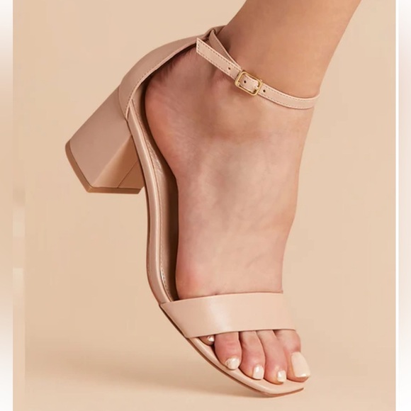 Birdy Grey “Natalie” Blush Ankle Strap Chunky Heels Size 9 Never Worn - Picture 1 of 10